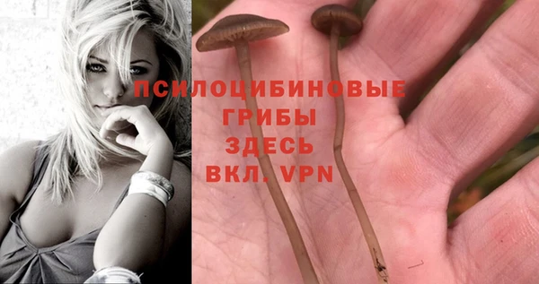 МДМА Ростов