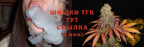 ПСИЛОЦИБИНОВЫЕ ГРИБЫ Приозерск