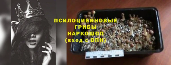 ПСИЛОЦИБИНОВЫЕ ГРИБЫ Приозерск