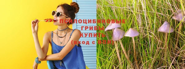стафф Пролетарск