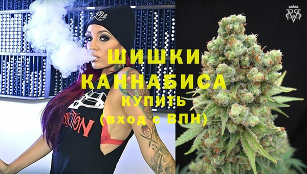 стафф Россошь