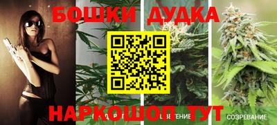 стаф Абакан