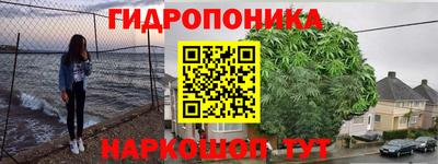 стаф Абакан