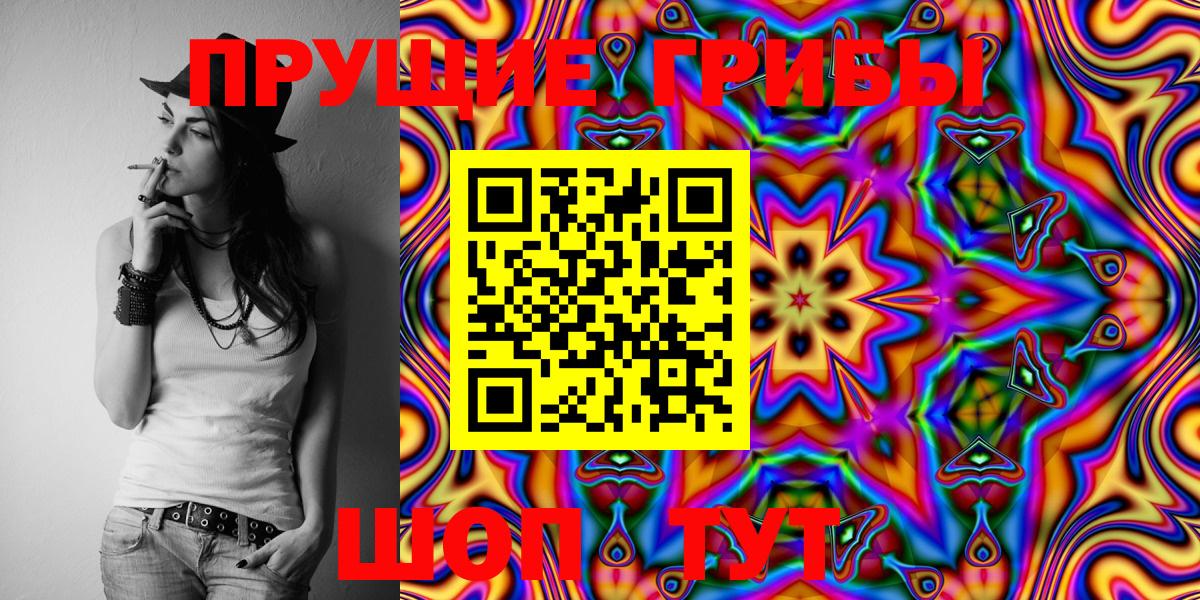 Псилоцибиновые грибы Cubensis Балабаново