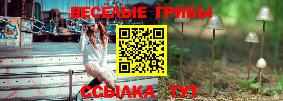 Псилоцибиновые грибы GOLDEN TEACHER Балабаново