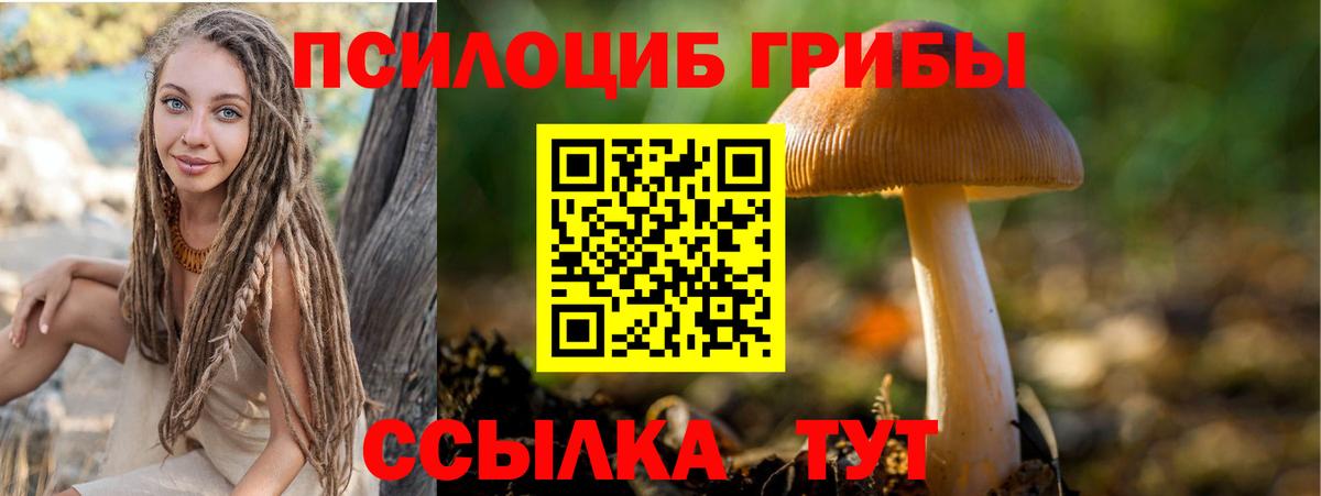 Псилоцибиновые грибы Magic Shrooms  Балабаново 